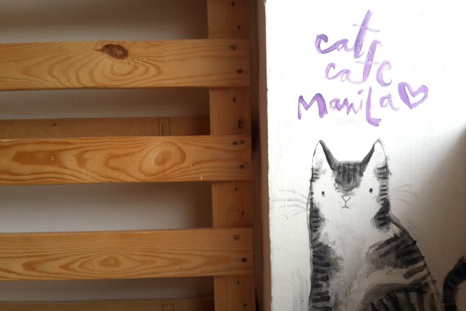 Cat Cafe Mnl