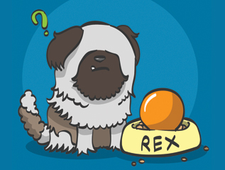 K-Zone Life Hacks Dog&nbsp;Edition